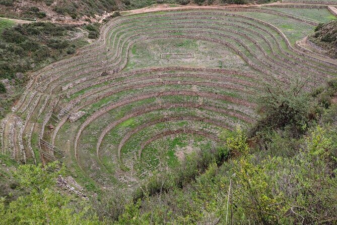 Full Day:Sacred valley,Alpaca farm,Maras,Moray and Ollantaytambo - Salinas de Maras: Pink salt, real work, and manageable time