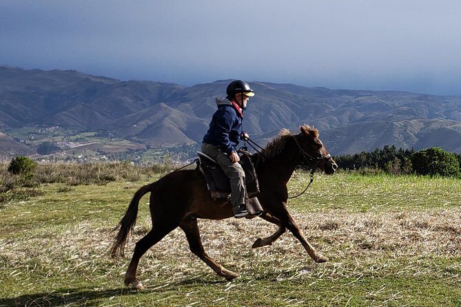 Half day Horseback Riding tour around Sacsayhuaman park - What you get for $75: value comes from the whole package