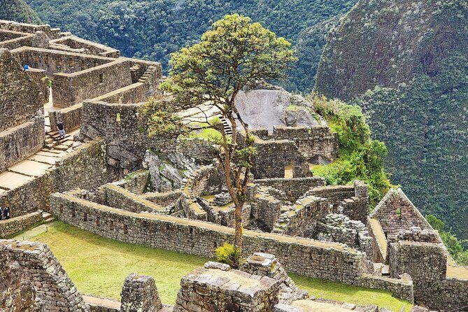 Half Day Private Tour Machu Picchu Cusco Peru - Food, Water, and Energy: Don’t Get Caught Underprepared