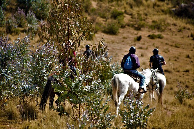 Horse Riding Chacan Mountain And Temple Of The Moon - The Ranch Setup: Peruvian Paso Horses, Helmets, and Safety