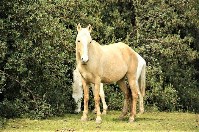 Horse Riding Chacan Mountain And Temple Of The Moon - Stop 1: Templo de la Luna and the Story Behind the Stone