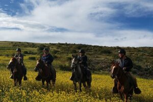 Horseback Riding Tour to the Devil's Balcony from Cusco - What to wear: Cusco trails have opinions