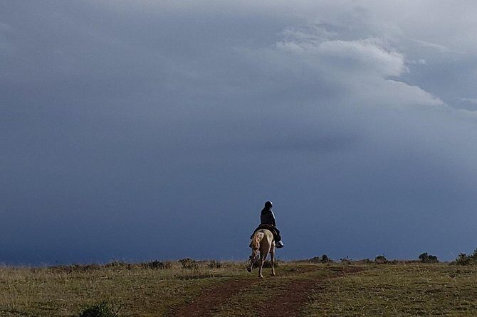 Horseback Tour in cusco to Temple of the Moon & Hidden temples - Key highlights you’ll care about
