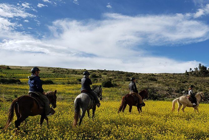 Horseback Tour in cusco to Temple of the Moon & Hidden temples - Transport and timing: what “2.5 hours” really means in real life