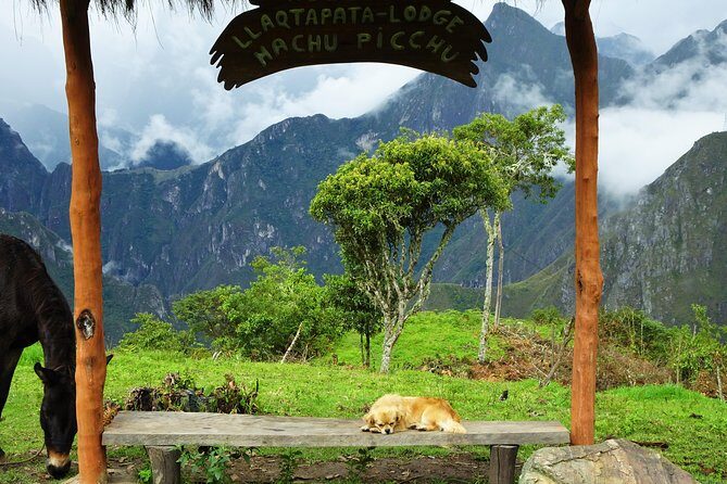 Inca Jungle Premium to Machu Picchu 4-Day and 3-Nights - Why this Inca Jungle route feels different than a standard Machu Picchu trip