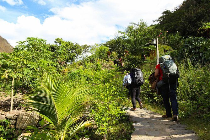 Inca Jungle Premium to Machu Picchu 4-Day and 3-Nights - Price and value: what $550 covers in real terms