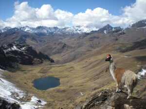 Lares Trek to Machu Picchu 4 days with Panoramic Train - Lares Hot Springs and Weaving With Natural Dyes