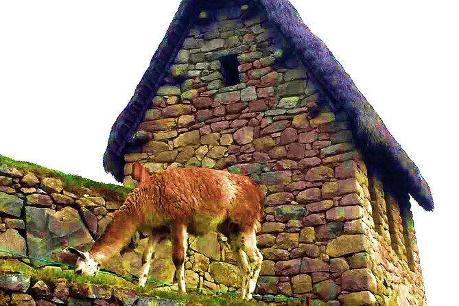 Machu Picchu 1 Day Tour from Cusco by Train - Train Back to Ollantaytambo, Then Back to Cusco