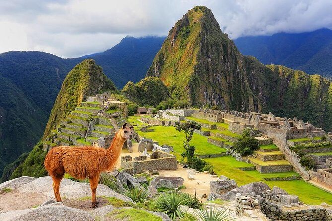 Machu Picchu by Train: A Seamless Full-Day Adventure - What’s not included: meals and where snacks matter
