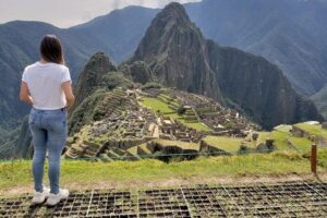 Machu Picchu Day Trip from Cusco – Full-Day Tour - Train from Ollantaytambo: scenery, seating, and a real buffer