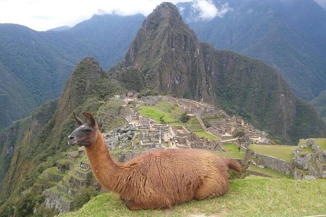 Machu Picchu Day Trip from Cusco – Full-Day Tour - The best part: guided time, then your own magic hour