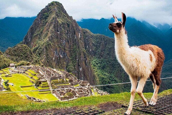 Machu Picchu Day Trip from Ollantaytambo and Urubamba - 8:00 AM Departure: The Ollantaytambo Start That Sets the Tone