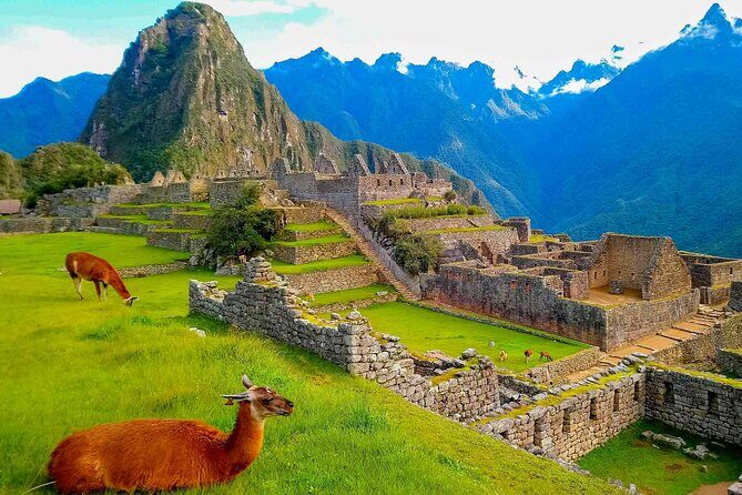Machu Picchu Day Trip from Ollantaytambo and Urubamba - Train to Aguas Calientes: Your Real Travel Break (and Not a Waste of Time)