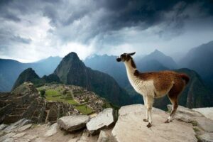 Machu Picchu Entrance Ticket - Before You Enter: Sacred Valley and How Your Day Really Starts
