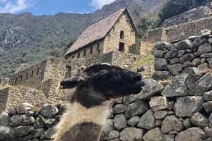 Machu Picchu Full Day from Cusco - Aguas Calientes Hot Springs: More Than a Side Stop