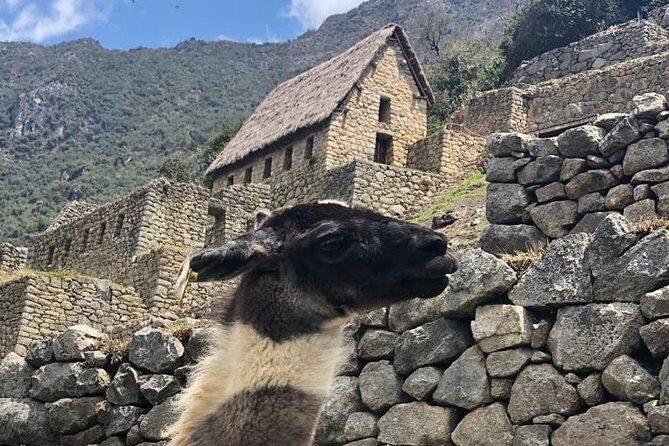 Machu Picchu Full Day from Cusco - Aguas Calientes Hot Springs: More Than a Side Stop