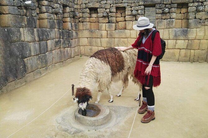 Machu Picchu Full Day - Private Tour - Flexibility when things go sideways: a real strength