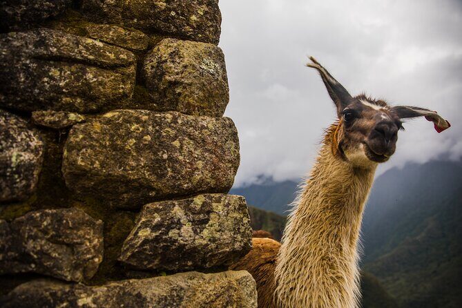 Machu Picchu Full-Day Private Tour by Train from Cusco - Why This Machu Picchu Route Starts in the Sacred Valley