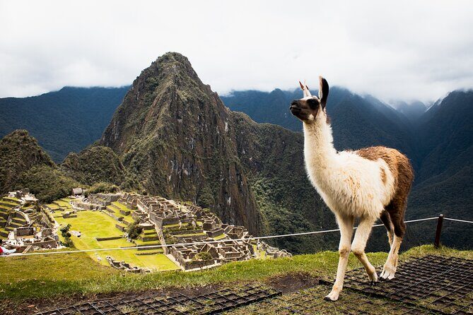 Machu Picchu Full-Day Tour by Train from Cusco - Small Group - Key points to know before you go