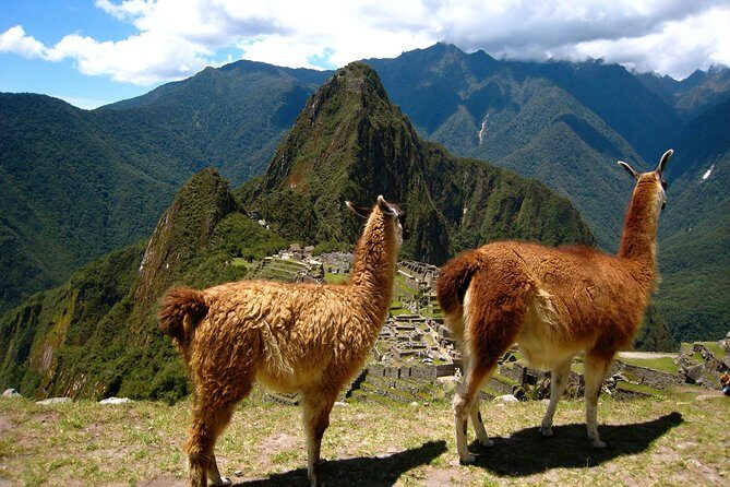 Machu Picchu Full-Day Tour from Cusco with Panoramic Train - Panoramic Train Energy: The Day Starts Moving
