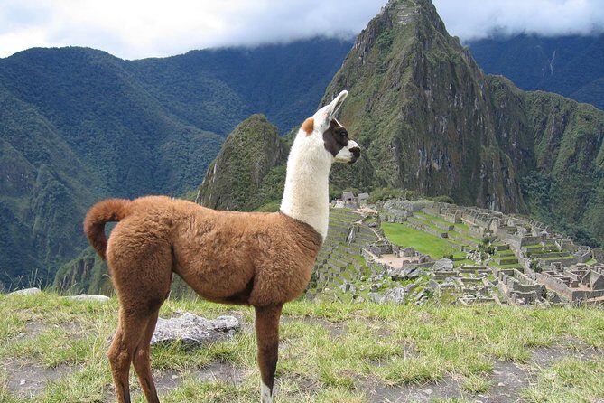 Machu Picchu Full-Day Tour from Cusco with Panoramic Train - Ollantaytambo to Aguas Calientes: Your Buffer for Timing