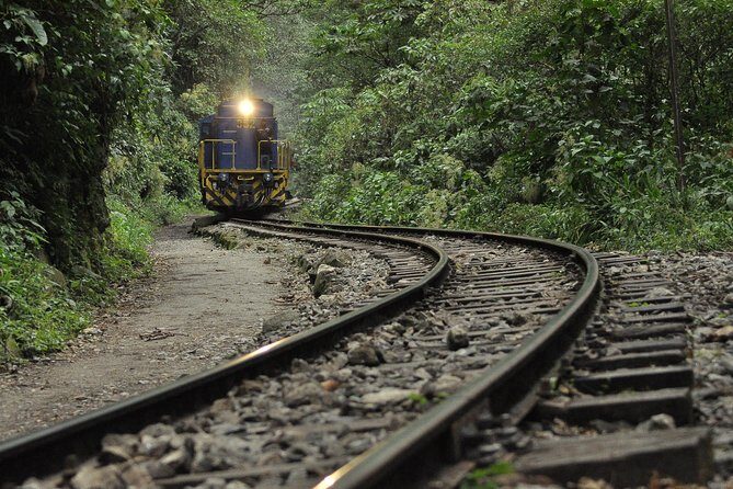 Machu Picchu Full-Day Tour from Cusco with Panoramic Train - Bus Up to Machu Picchu: What’s Included (and What You Must Bring)