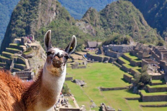 Machu Picchu Full Day Tour from Cusco with Train & Entrance - Entering Machu Picchu: Circuit 1 vs Circuit 2 with a real guide