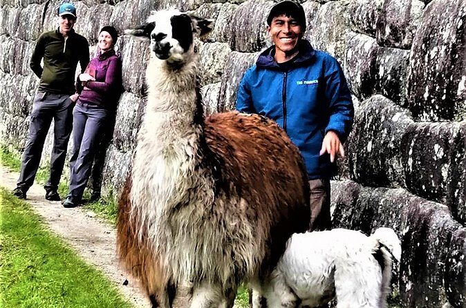 Machu Picchu: Private Tour Guide Service (2–3 Hours) - Sunrise and the Sun Gate: possible, but time-dependent