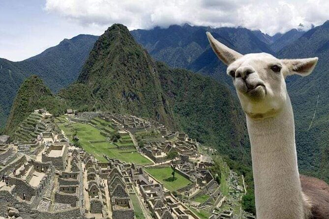 Machu Picchu Small Group Day Tour from Cusco - Price and value: what $335 buys you (and what it doesn’t)