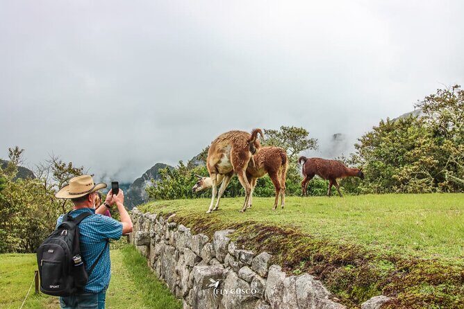 Machu Picchu Ticket, Bus & Private Guide - Language Options - Aguas Calientes starts the day: meeting point, briefing, and pickup help