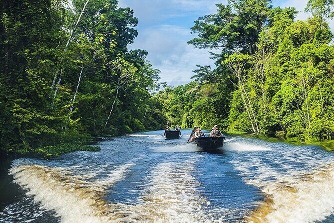 Manu Jungle Tour from Cusco (4 Days) - Price and value: what $709 actually buys you