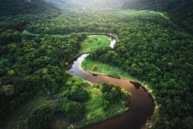 Manu Jungle Tour from Cusco (4 Days) - Cloud forest to Atalaya: orchids, monkeys, and the Madre de Dios river day