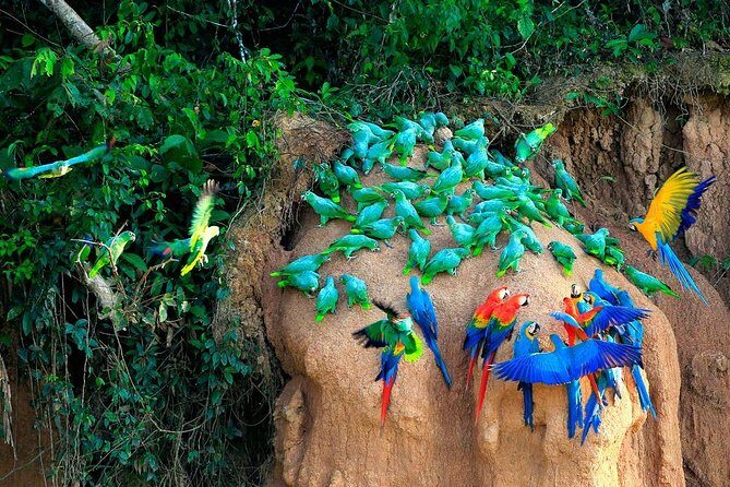 Manu National Park Tour 4days/3night - Eco-lodge life: what comfort looks like in the jungle