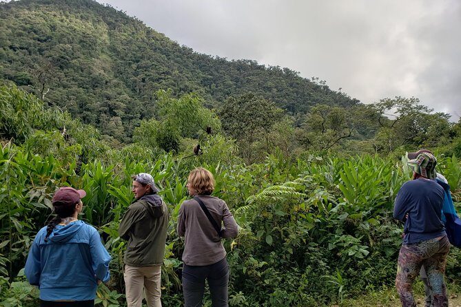 Manu National Park Tour 4days/3night - Private guide = your pace, your focus