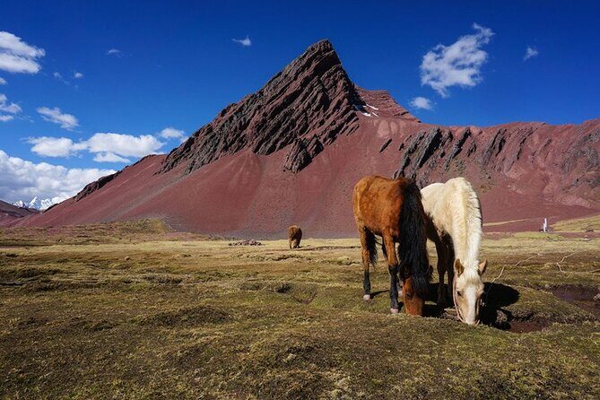 Mountain Hike Colors full day - with guide - Meals, sticks, and oxygen: the real value of what’s included