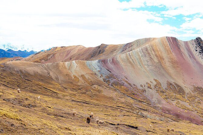 Palccoyo Rainbow Mountain Full Day Tour from Cusco - Nevado Ausangate viewpoints at about 6,400 masl