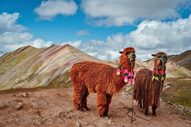 Palccoyo Rainbow Mountain Tour - Scenic Hike & Andean Lunch - What to Bring (and How to Avoid the Common Mistakes)