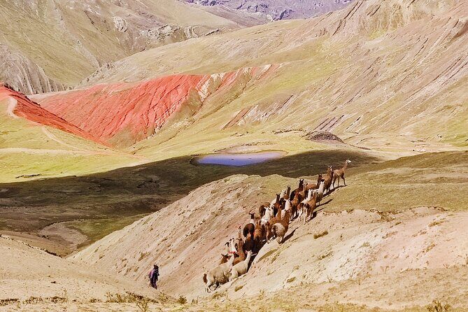 Palccoyo Rainbow Mountains Full Day Tour from Cusco - Value for $56.05: what you’re really paying for