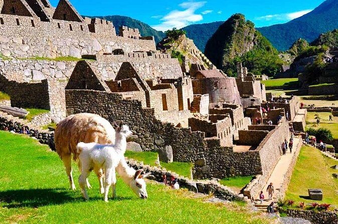 Private Guided Tour in Machu Picchu - Who This Tour Suits Best (And Who Might Want Something Else)