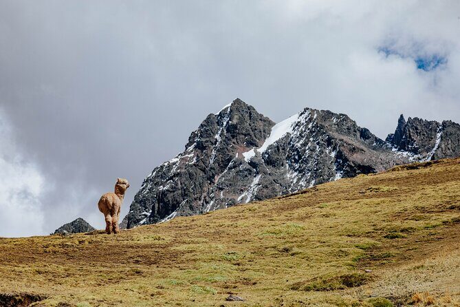 Rainbow Mountain and Red Valley Hike – 2 Days / 1 Night - Should you book this Ausangate + Rainbow Mountain + Red Valley trek?