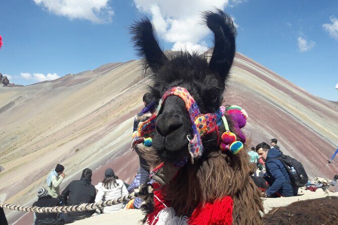 Rainbow Mountain ATV Tour 1-Day: Easy Way for All Travelers - Guide quality: multilingual help, and what to do if you need English