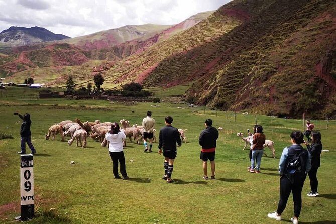 Rainbow Mountain Palccoyo 1 day ( Cusco ) - Price and logistics: is $35 worth it?
