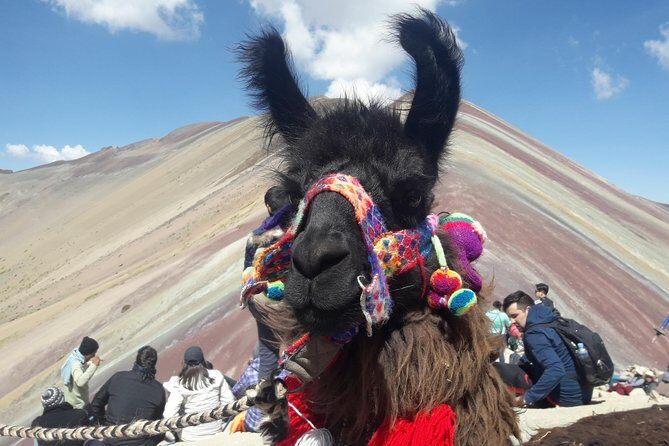 Rainbow Mountain Tour Vinicunca (Full Day) - Altitude reality check: oxygen tanks, slow ascent, and field tips