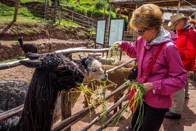Sacred Valley and Machu Picchu Tour in 2 days with Peru Vip - Urubamba Buffet Lunch: Refuel in the Sacred Valley