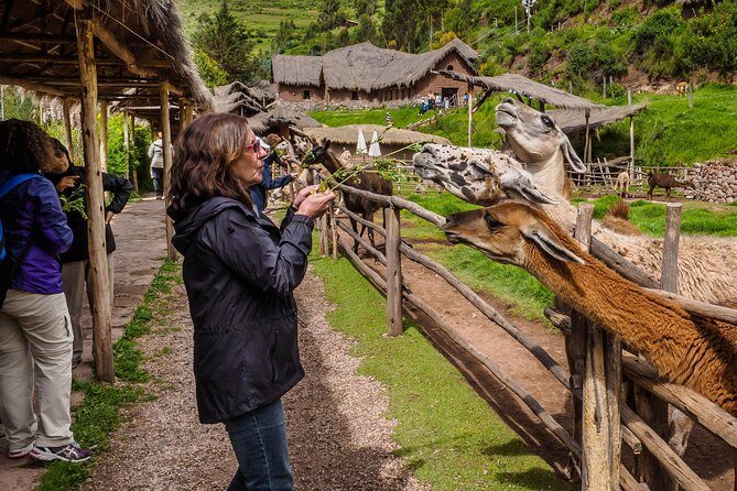 Sacred Valley and Machu Picchu Tour in 2 days with Peru Vip - Machu Picchu at 5:00 am: Queues, Buses, and Sunrise Timing