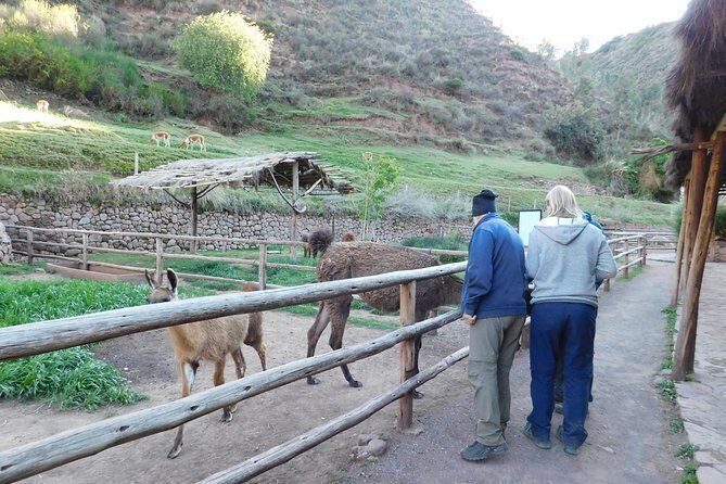 Sacred Valley Tour From either Urubamba or Ollantaytambo - Price and what you really get for $155