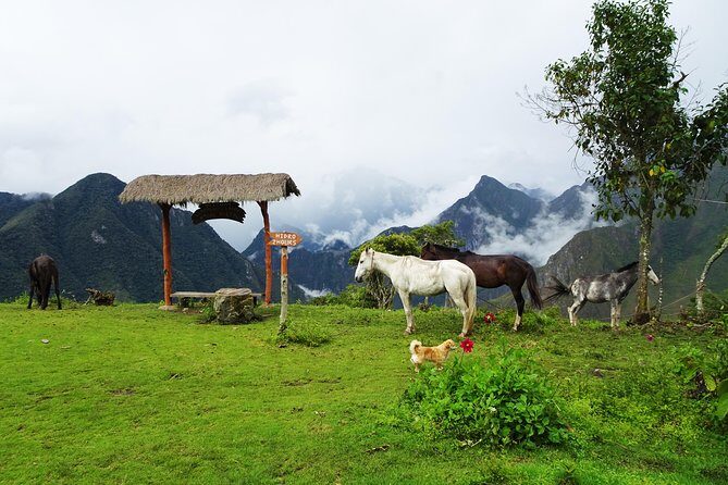 Salkantay Trek Premium 5D/4N - Day 4: Llactapata’s Machu Picchu view, then down to Aguas Calientes