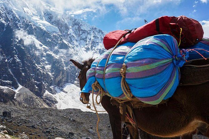Salkantay Trek to Machu Picchu in 4 days - Safety and altitude reality: what I’d check before you go
