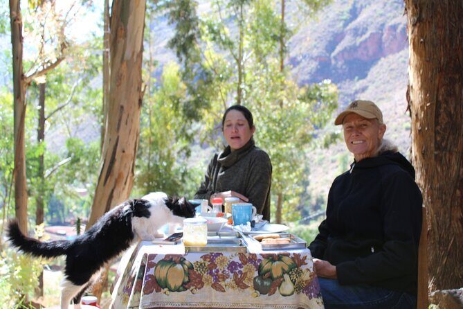 San Pedro Ceremony in Cusco - Taray and Kilary ILLary: The Setting at 2,900 Meters