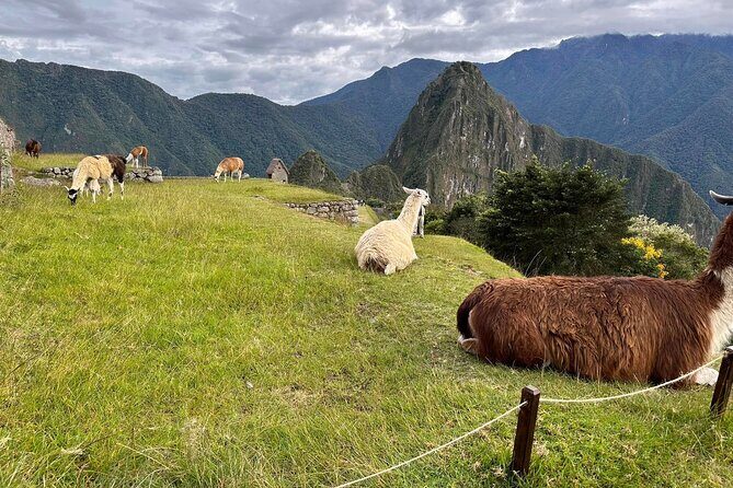 Short Inca Trail to Machu Picchu 2 Days and 1 Night - Who Should Book This, and Who Might Want a Different Style